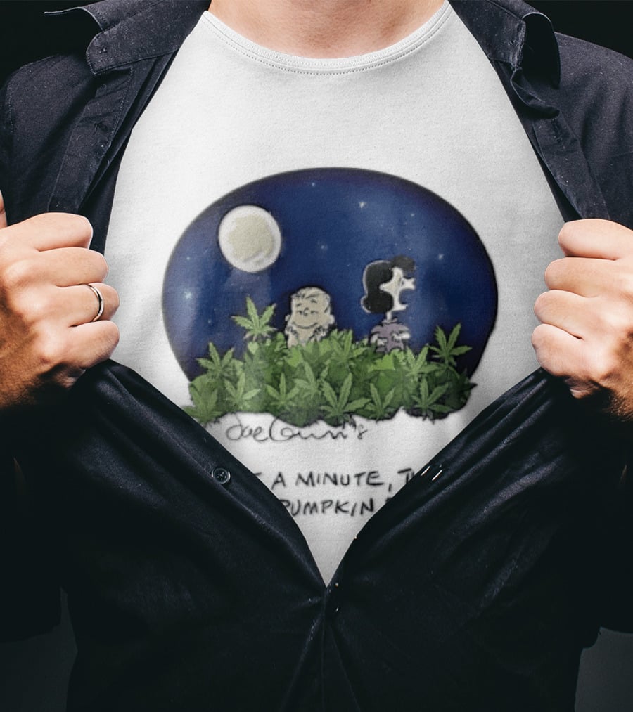 Peanuts Wait A Minute This Isn't A Pumpkin Patch Moon Night Scene Charlie Brown Lucy T-Shirt