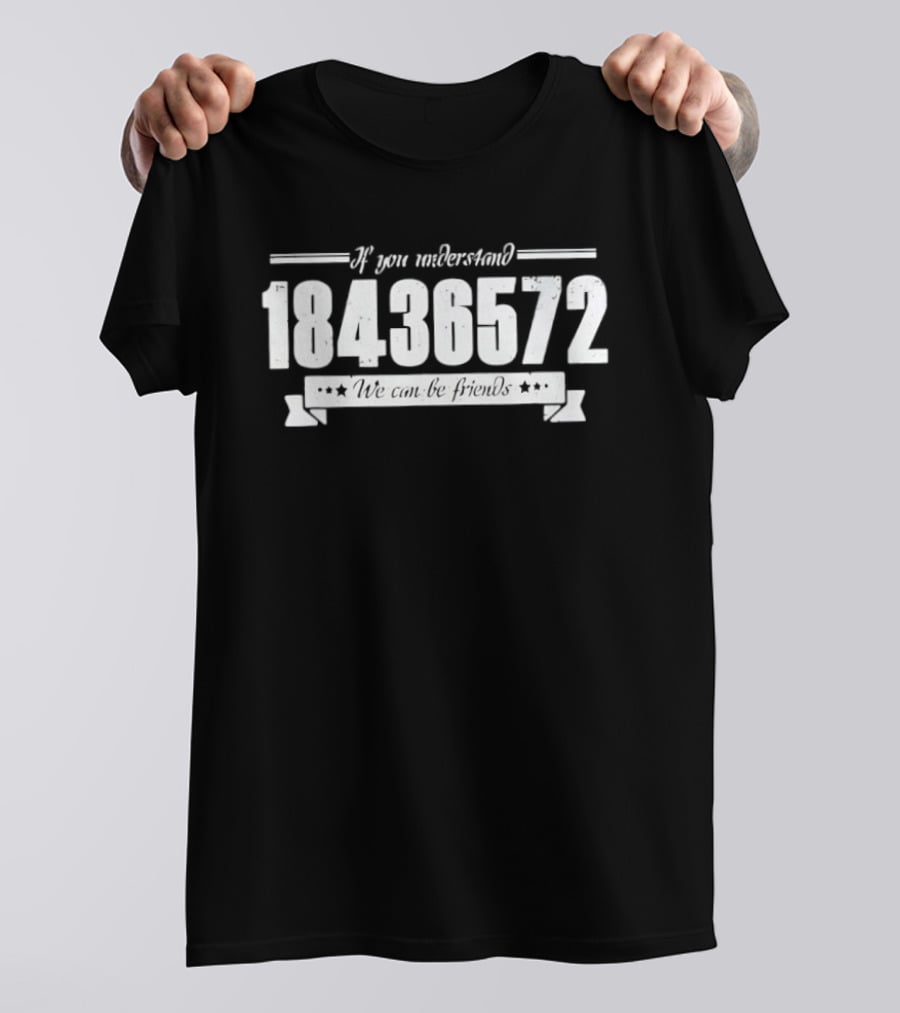 If You Understand 18436572 We Can Be Friends T-Shirt