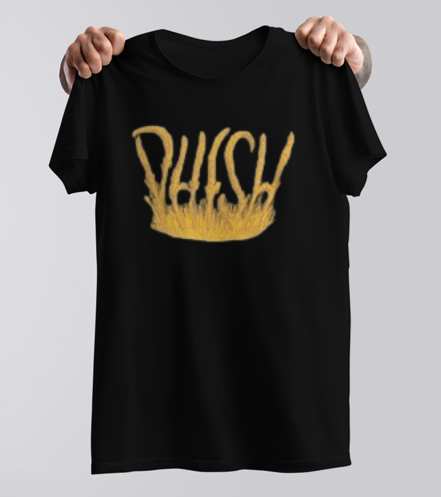 Phish Dry Goods Grain Zone Fall 2026 Harvest T-Shirt