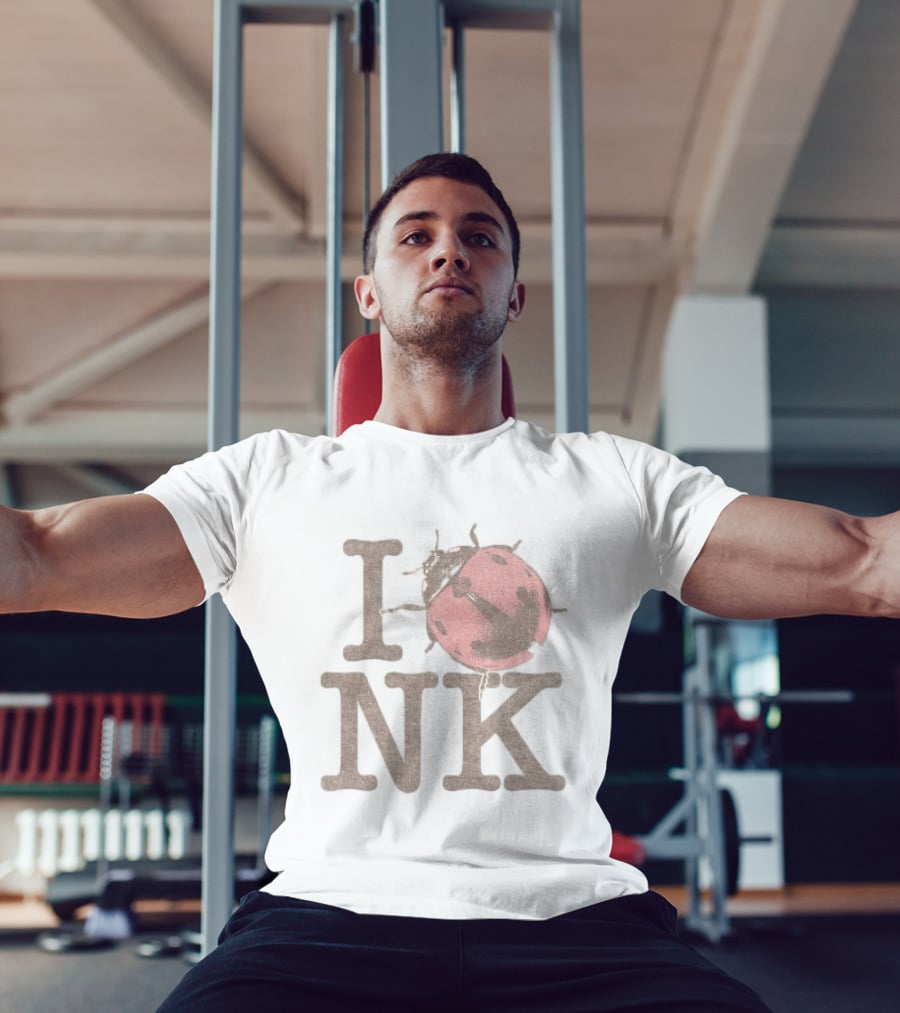 Noah Kahan Store I Love NK Pink Ladybug T-Shirt
