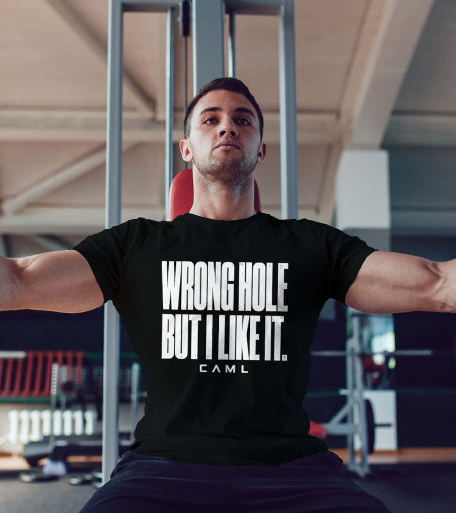 Wrong Hole But I Like It Distressed Sarcastic Saying CAML T-Shirt