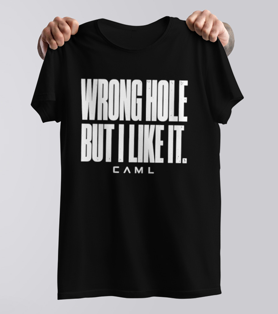 Wrong Hole But I Like It Distressed Sarcastic Saying CAML T-Shirt