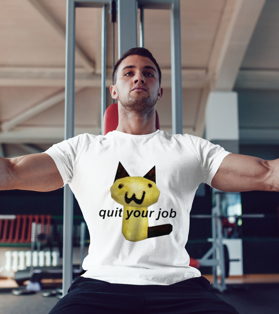 Quit Your Job Potato Cat Meme T-Shirt