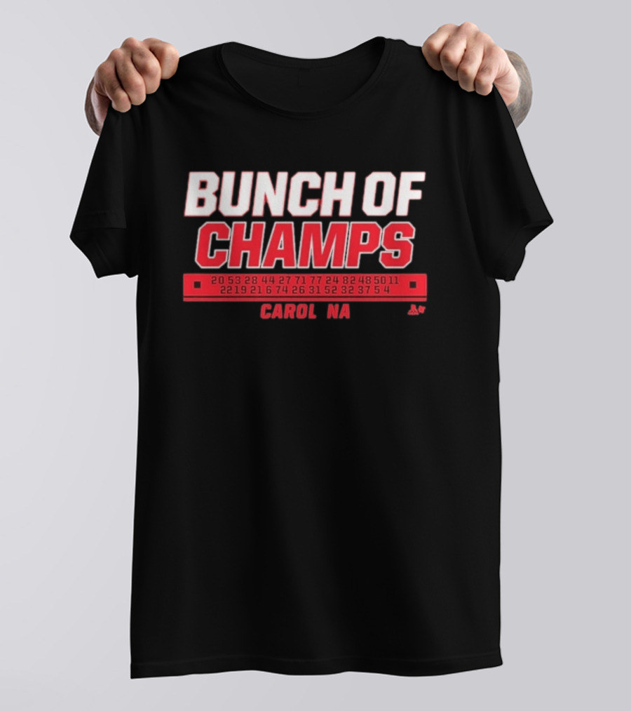 Bunch Of Champs Carolina Hockey Numbers Series T-Shirt