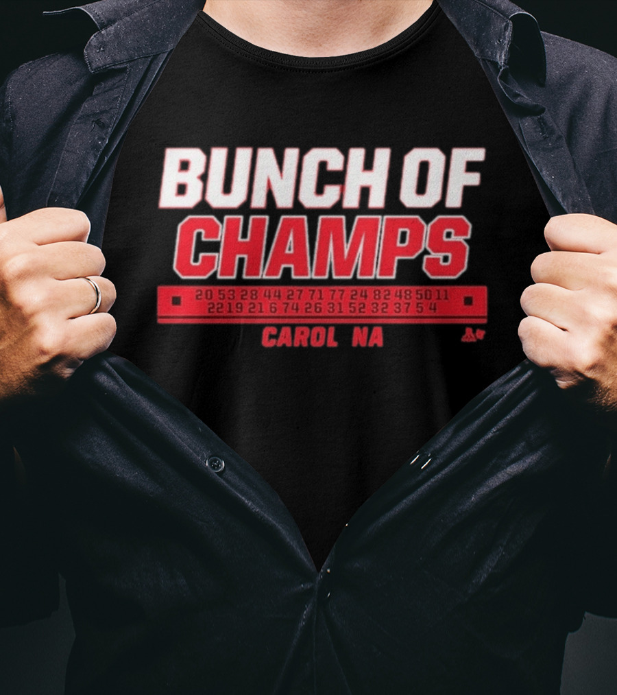 Bunch Of Champs Carolina Hockey Numbers Series T-Shirt
