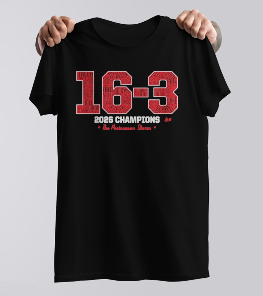 Carolina Hockey 16 3 2026 Champions The Postseason Storm T-Shirt