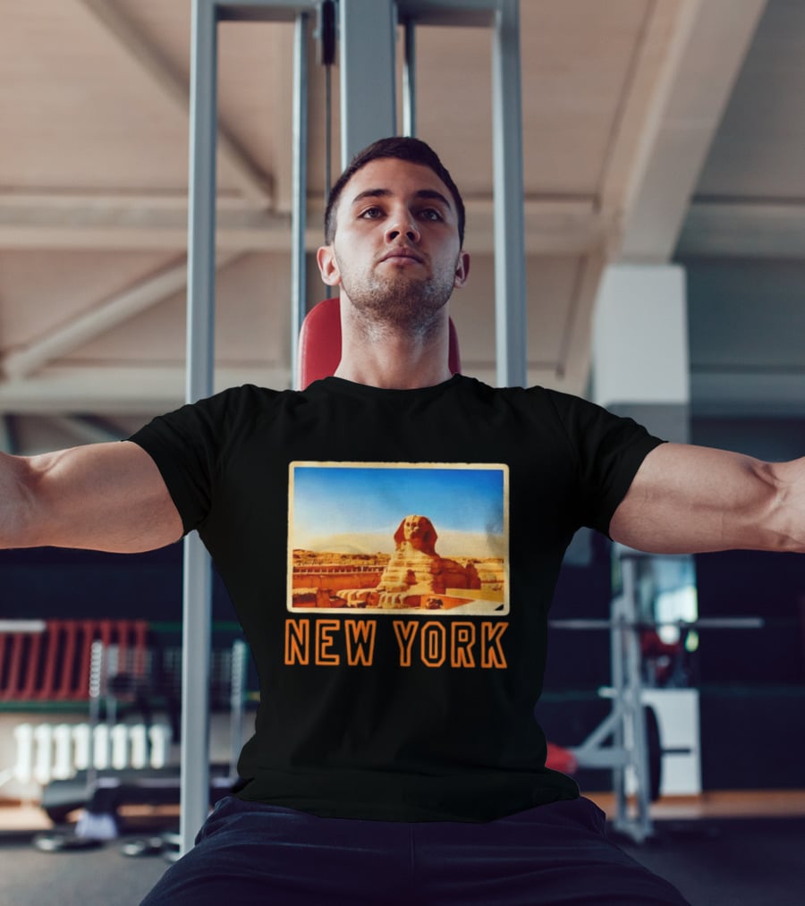 New York Humor Great Sphinx Of Giza Egypt Landmark T-Shirt