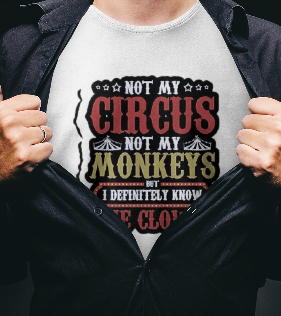 Not My Circus Not My Monkeys But I Definitely Know The Clowns T-Shirt