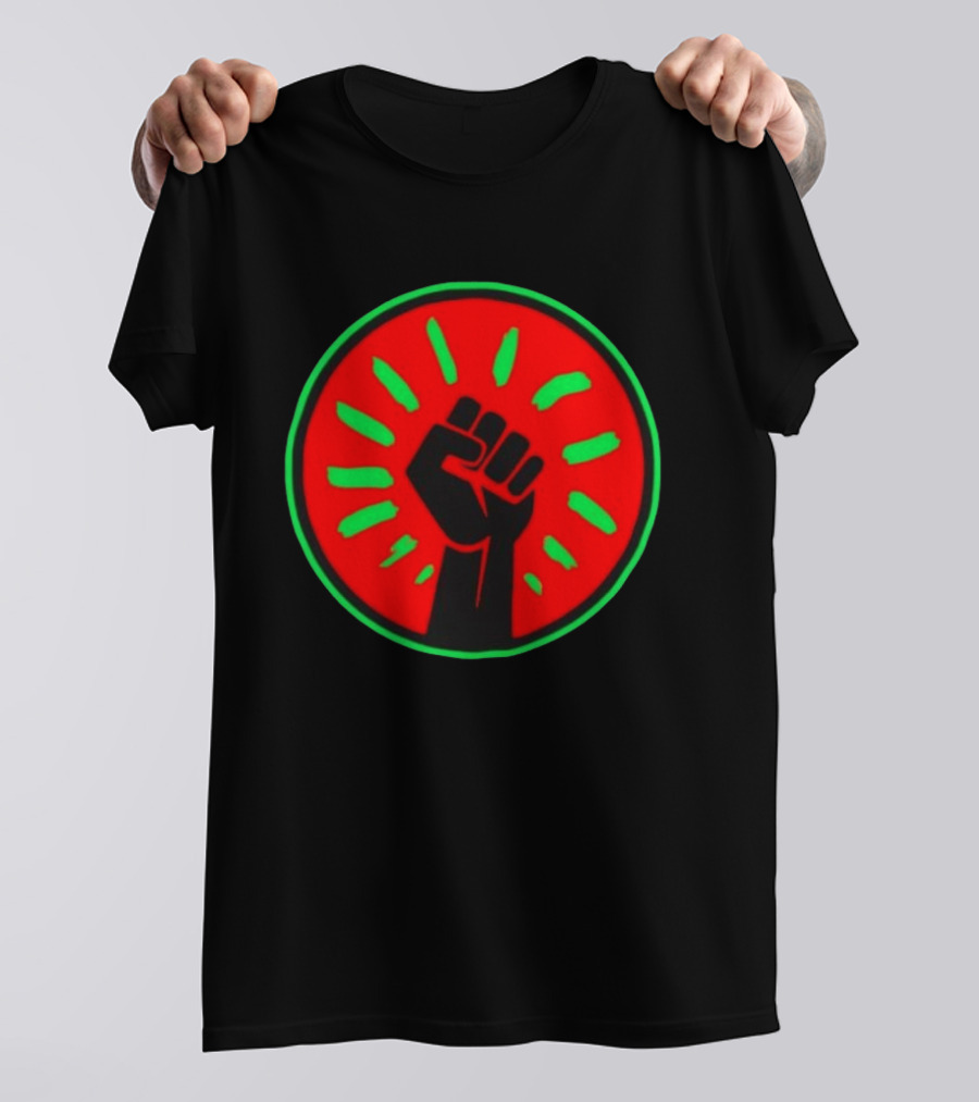 Pan African Flag Black Power Fist Resistance Unity Liberation T-Shirt