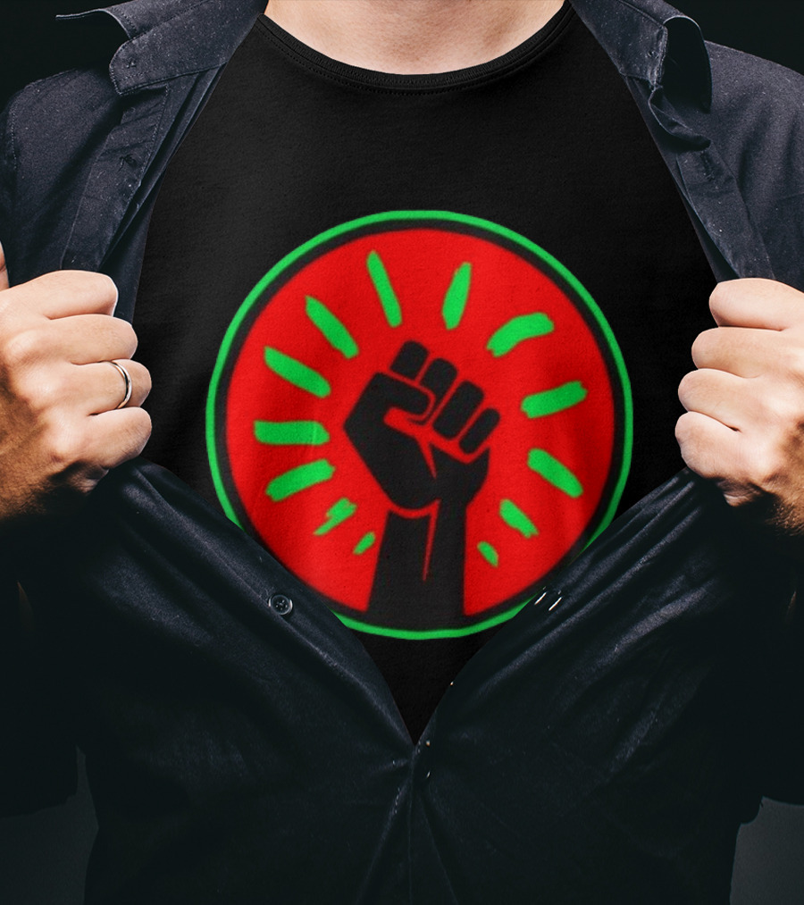 Pan African Flag Black Power Fist Resistance Unity Liberation T-Shirt