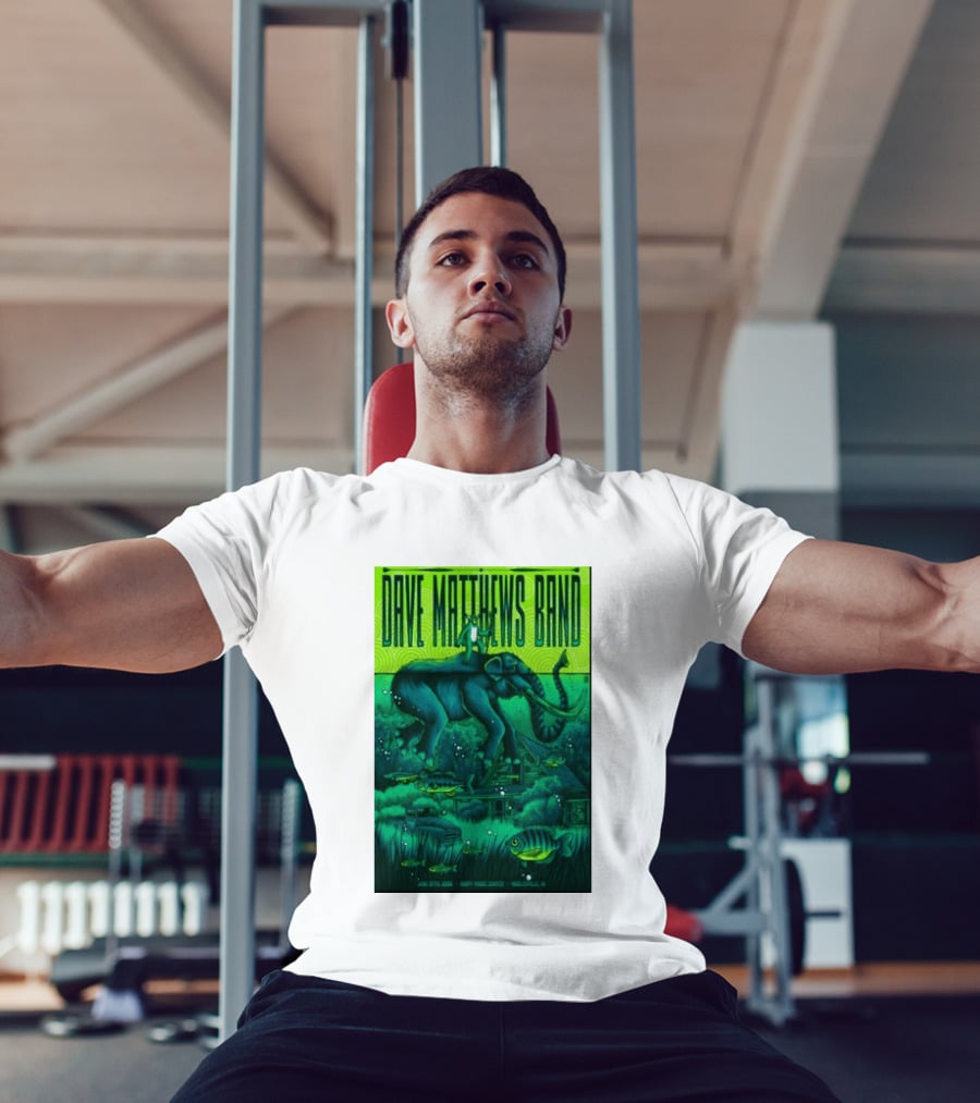 Dave Matthews Band Noblesville IN June 27 2026 Frog Elephant Lillypad Dreamscape T-Shirt