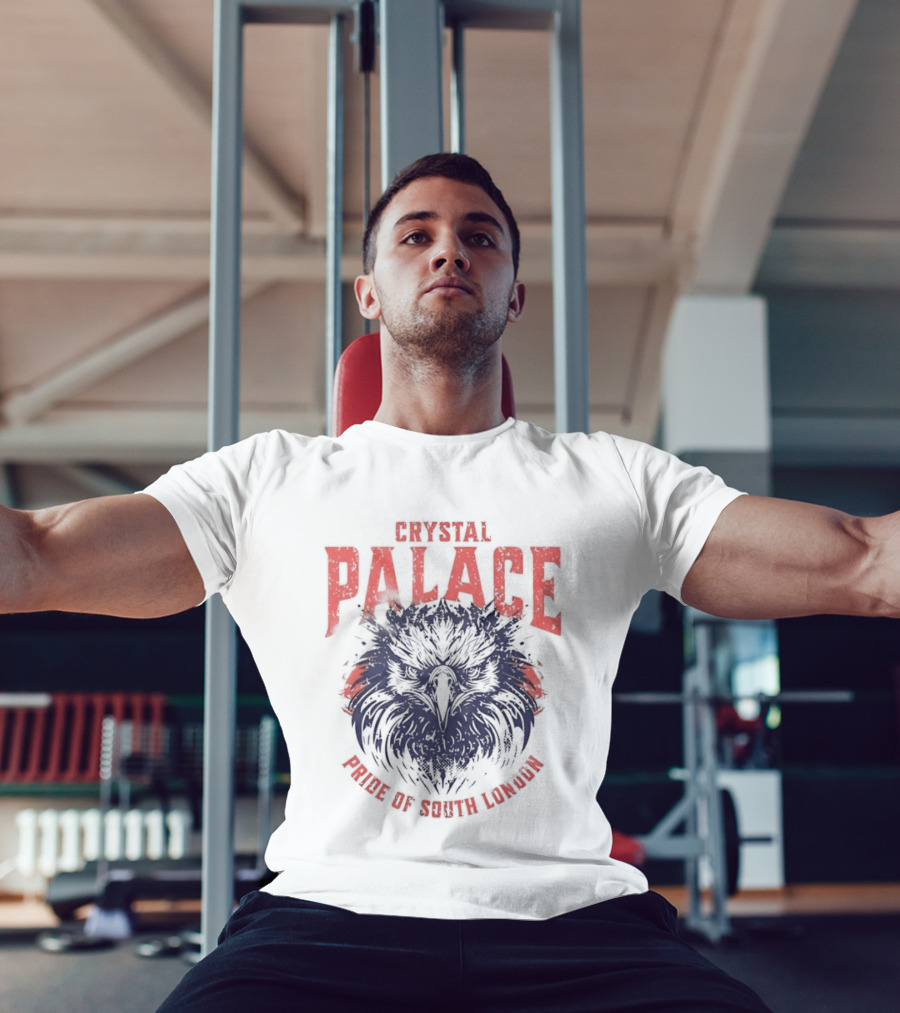 Crystal Palace Power Of South London Pride Eagle T-Shirt