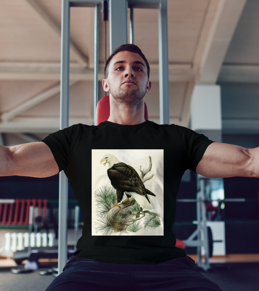 Roger Tory Peterson Bald Eagle Illustration On Stone Background 2026 T-Shirt