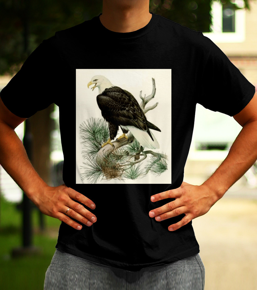 Roger Tory Peterson Bald Eagle Illustration On Stone Background 2026 T-Shirt