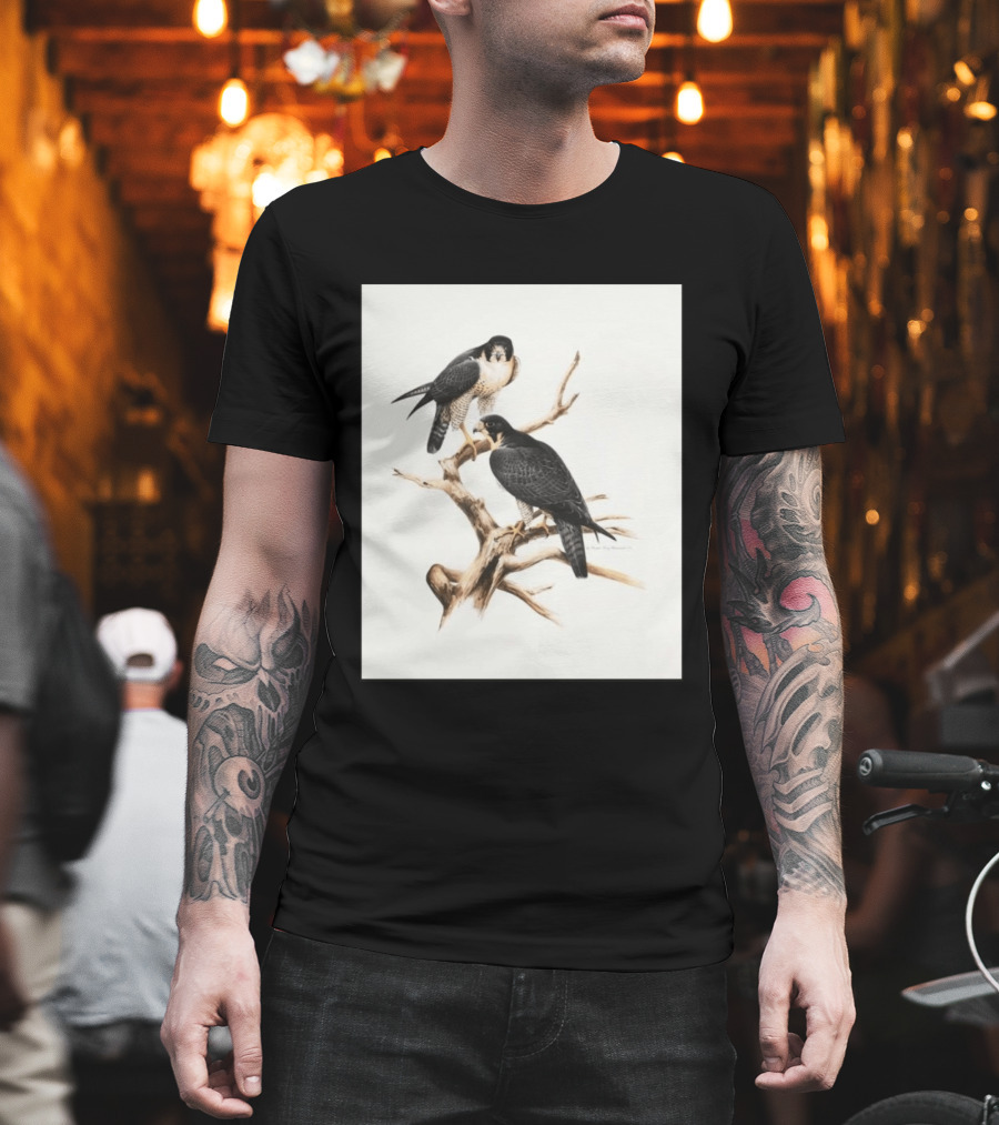 Roger Tory Peterson Peregrines 2026 Adult Ash Bird T-Shirt
