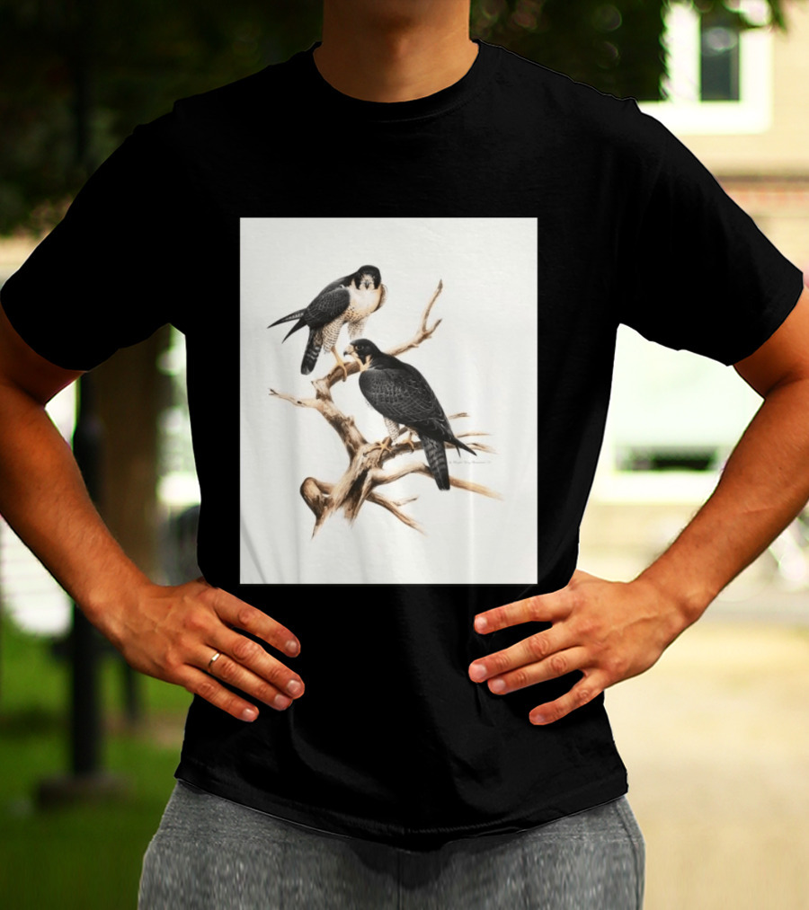 Roger Tory Peterson Peregrines 2026 Adult Ash Bird T-Shirt