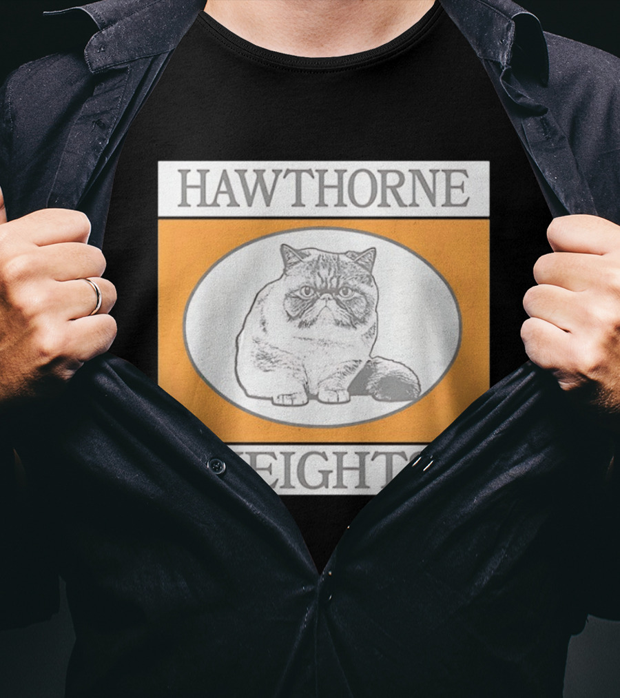 Hawthorne Heights Victorious Kitty Emo Band Feline T-Shirt