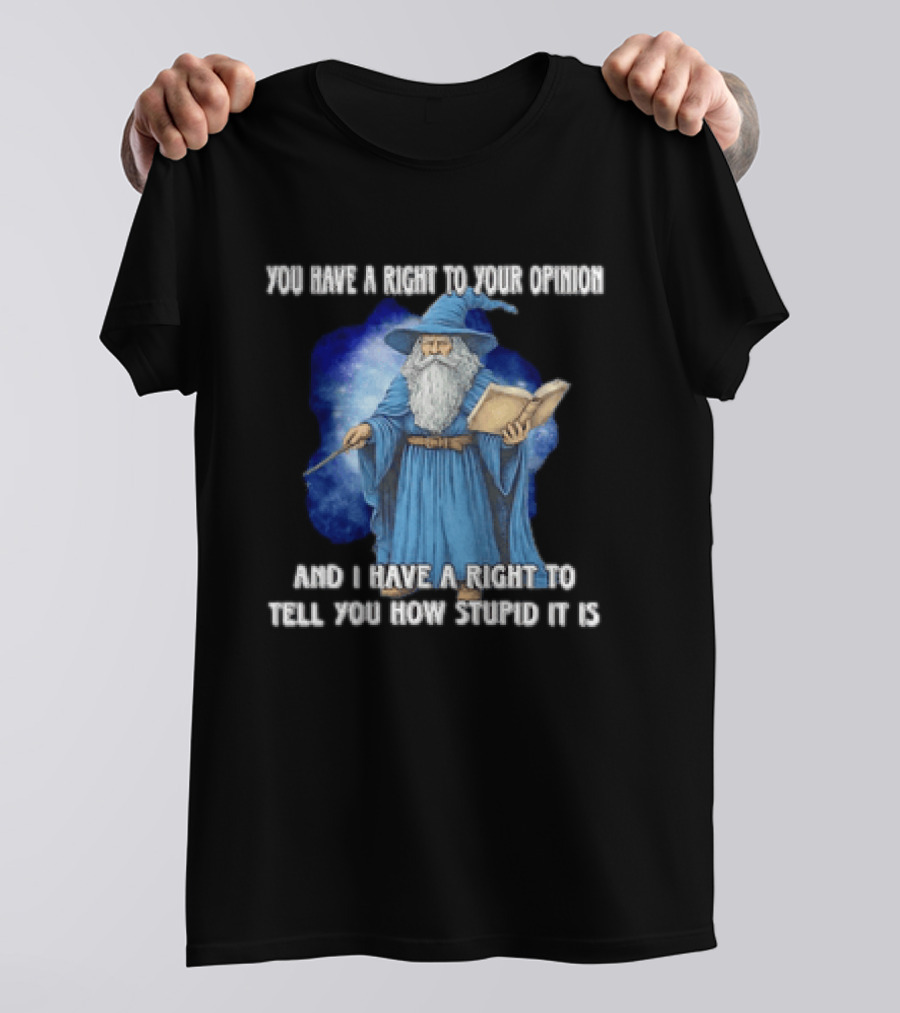 Wizard You Have A Right To Your Opinion And I Have A Right To Tell You How Stupid It Is T-Shirt