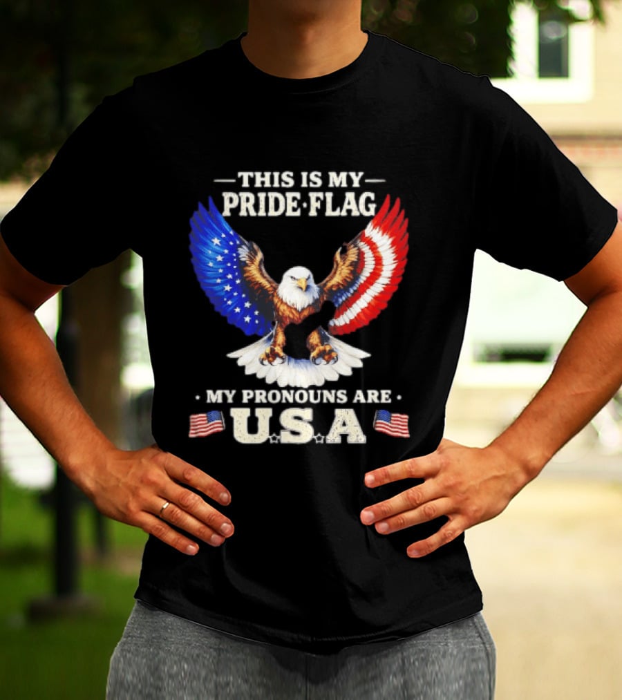 This Is My Pride Flag American Eagle My Pronouns Are USA T-Shirt