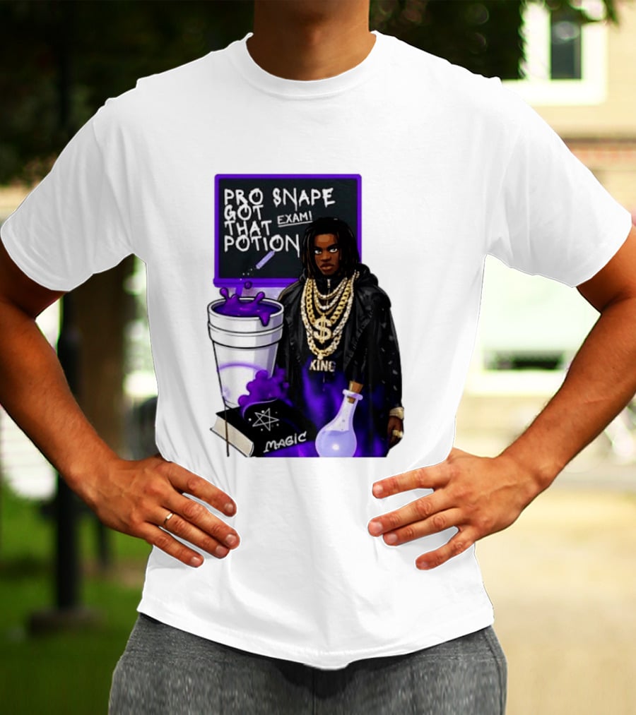 Professor Snape Got That Potion Magic Exam Meme T-Shirt