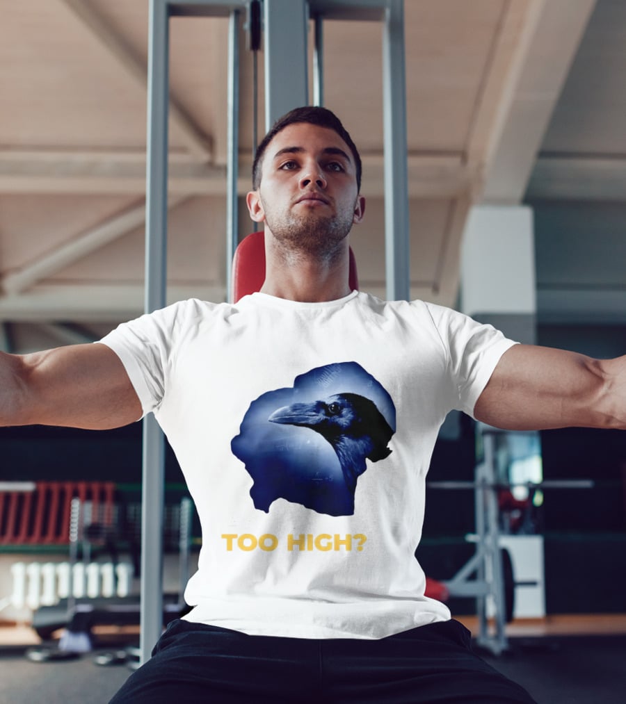 An IQ Too High Raven Sarcasm Meme T-Shirt