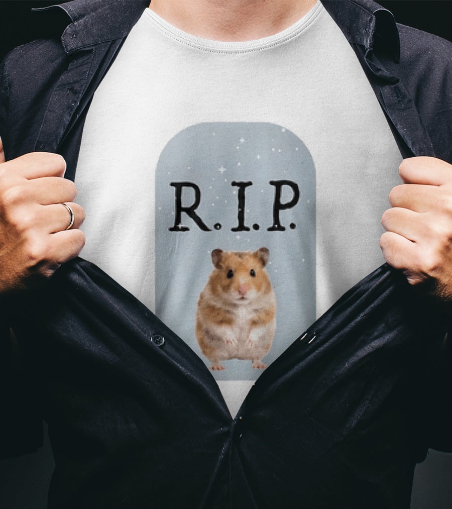 R.I.P. Lil Cenat Hamster Memorial With Stars And Clouds T-Shirt