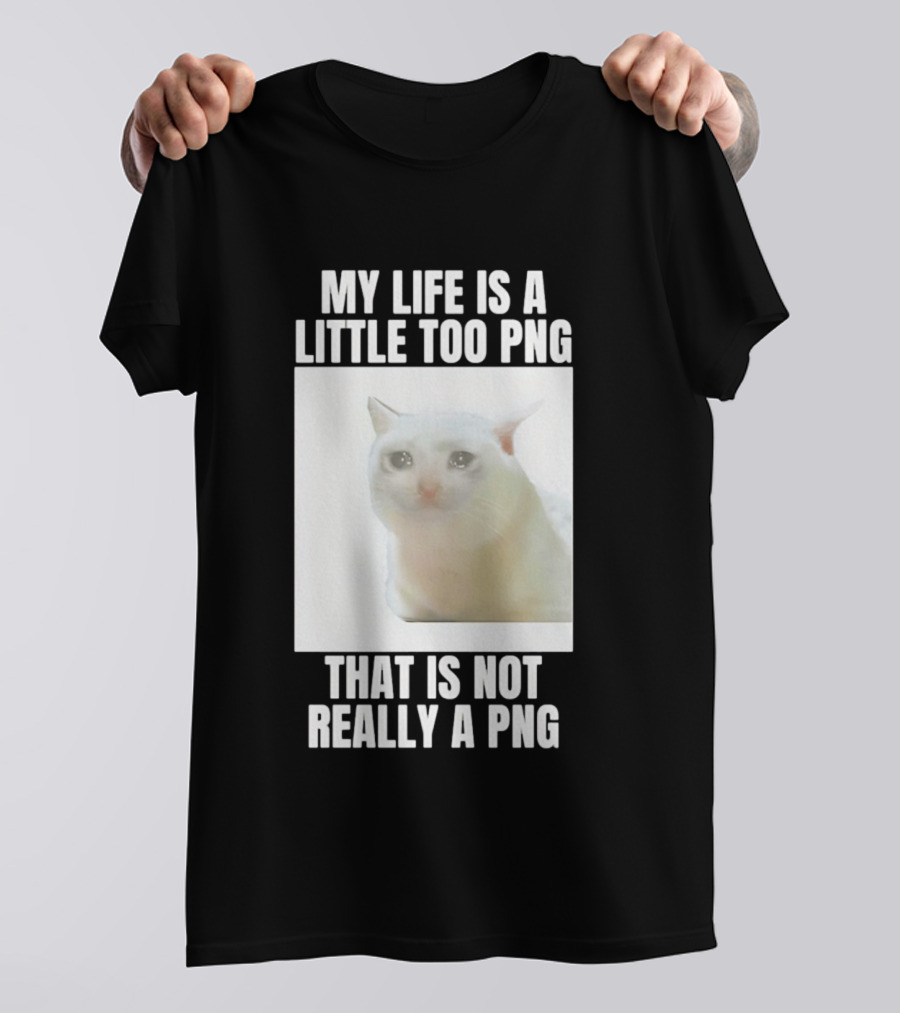 My Life Is A Little Too PNG That Is Not Really A PNG Cat Meme T-Shirt