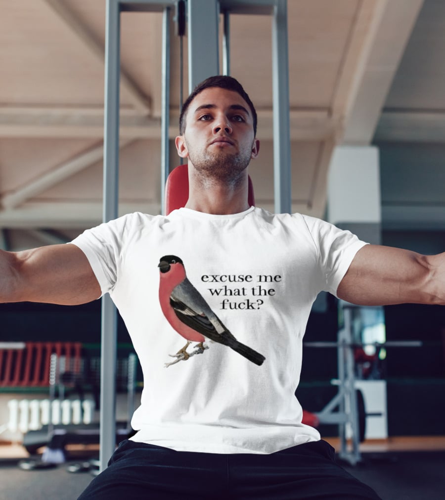 Eurasian Bullfinch Bird Excuse Me What The Fuck T-Shirt