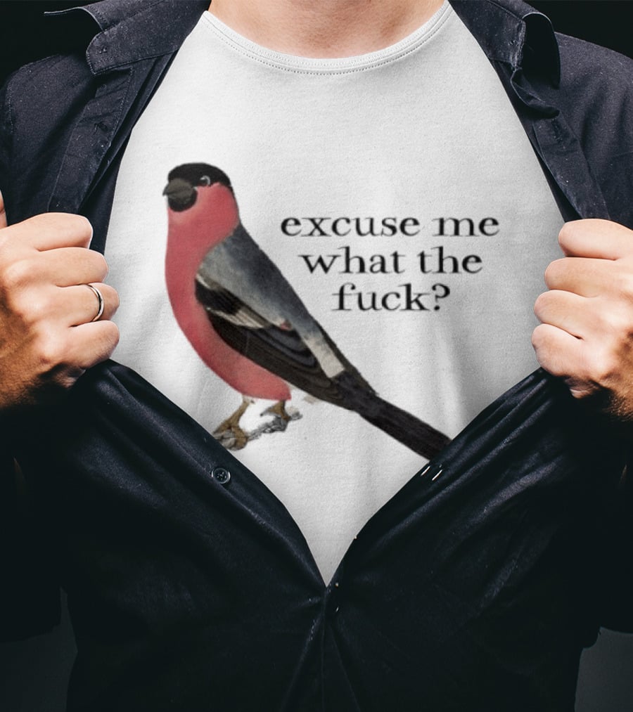 Eurasian Bullfinch Bird Excuse Me What The Fuck T-Shirt