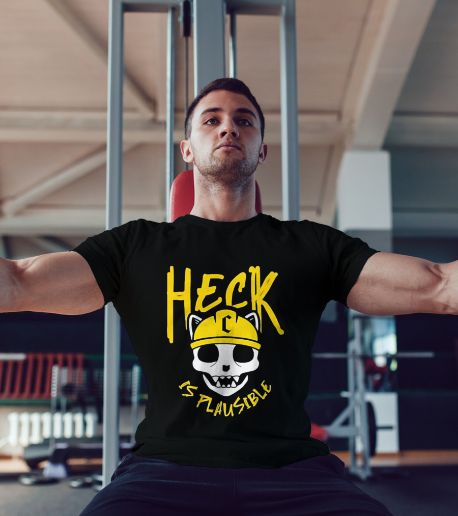 Heck Is Plausible Cat Skull Construction Helmet T-Shirt