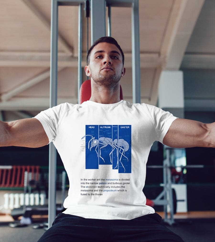 Worker Ant Diagram Head Alitrunk Gaster Metasoma Petiole Biology T-Shirt