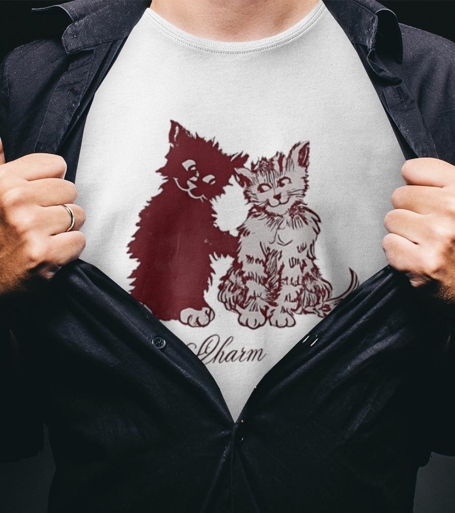 Charm Kittens Cats Hugging T-Shirt