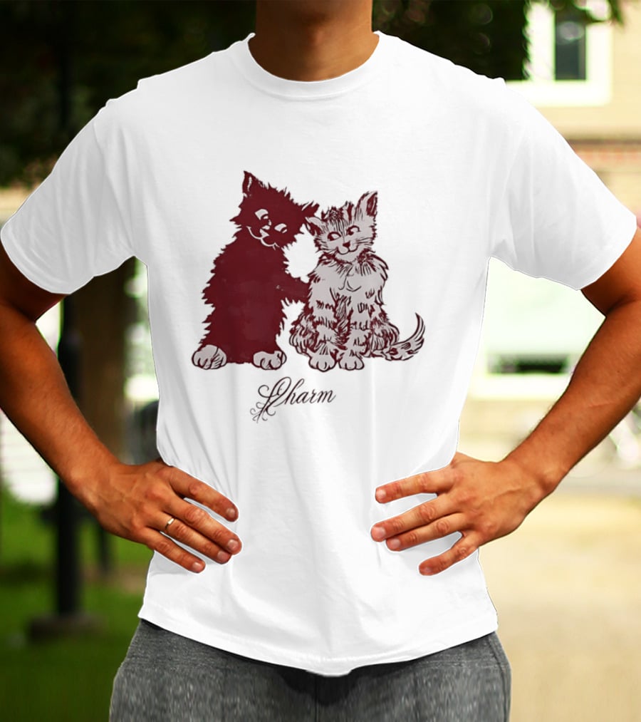 Charm Kittens Cats Hugging T-Shirt