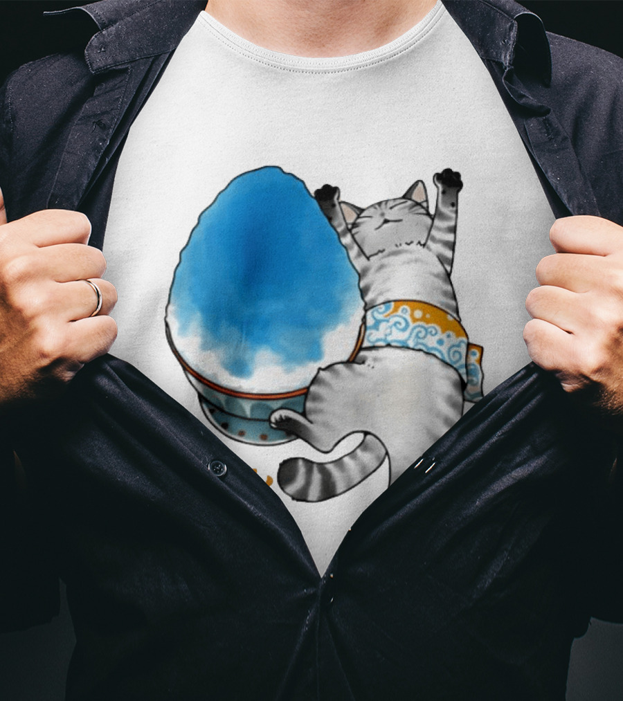 Tabby Cat Kakigori Shaved Ice Japanese Food Summer Relaxing Kaki Gori T-Shirt