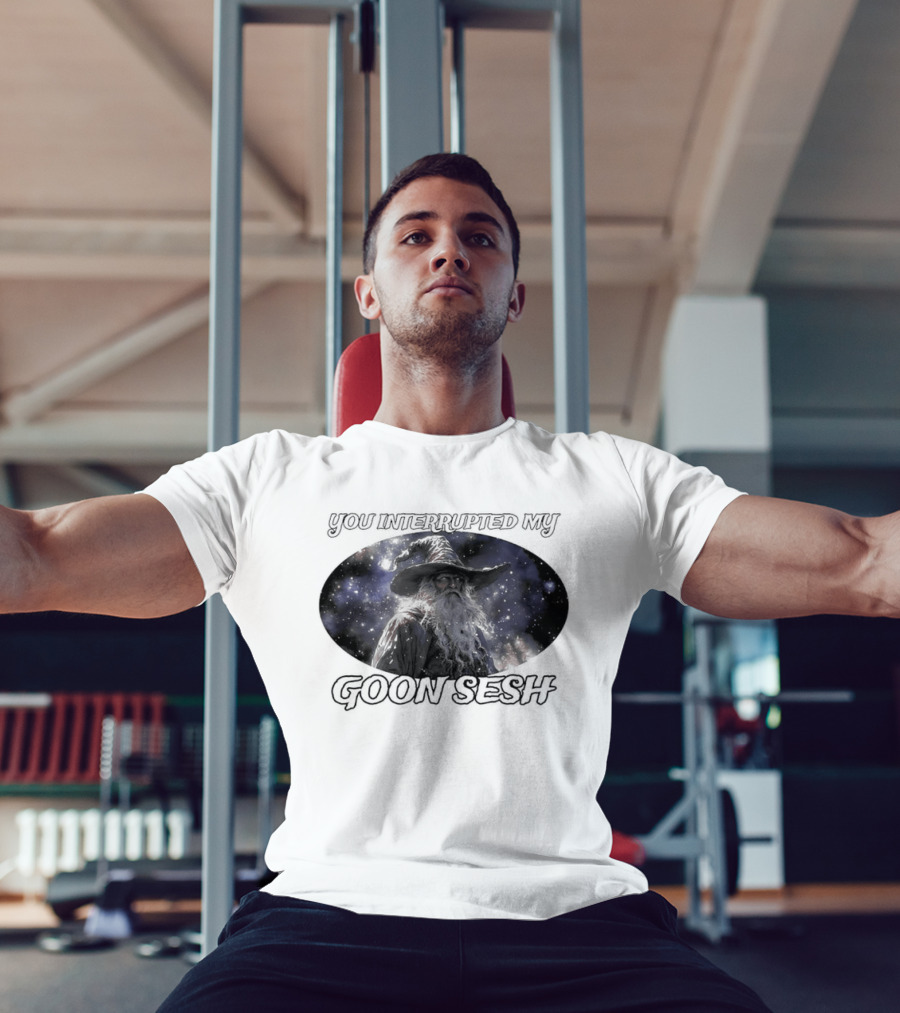 You Interrupted My Goon Sesh Wizard T-Shirt