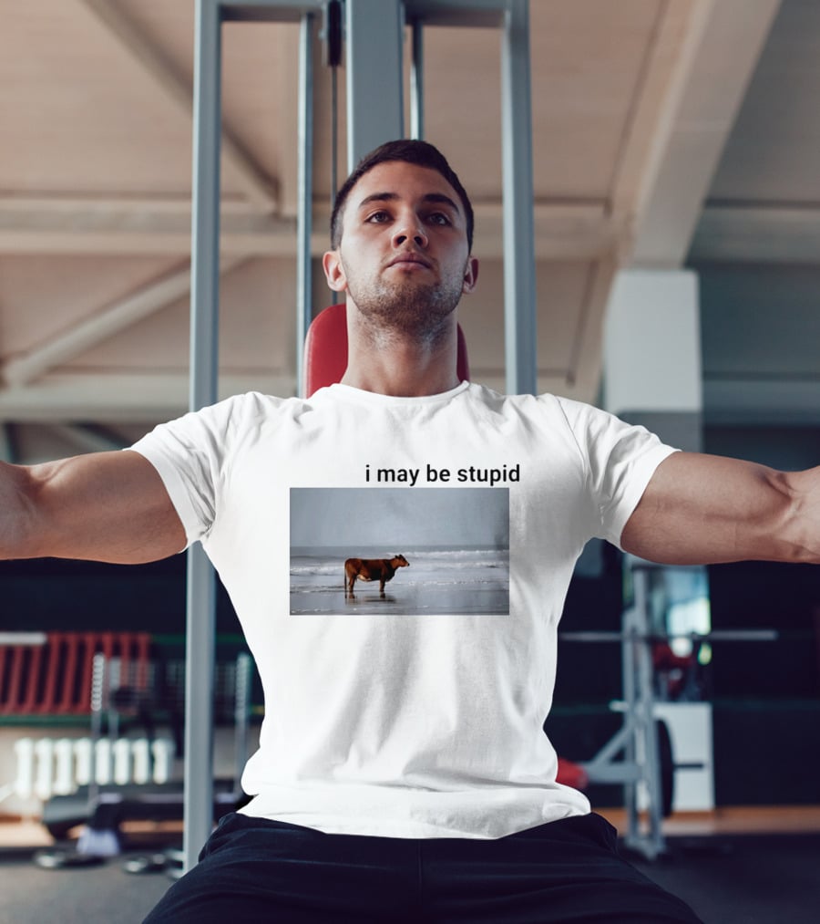 I May Be Stupid Cow At The Beach T-Shirt