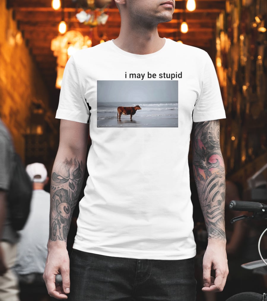 I May Be Stupid Cow At The Beach T-Shirt