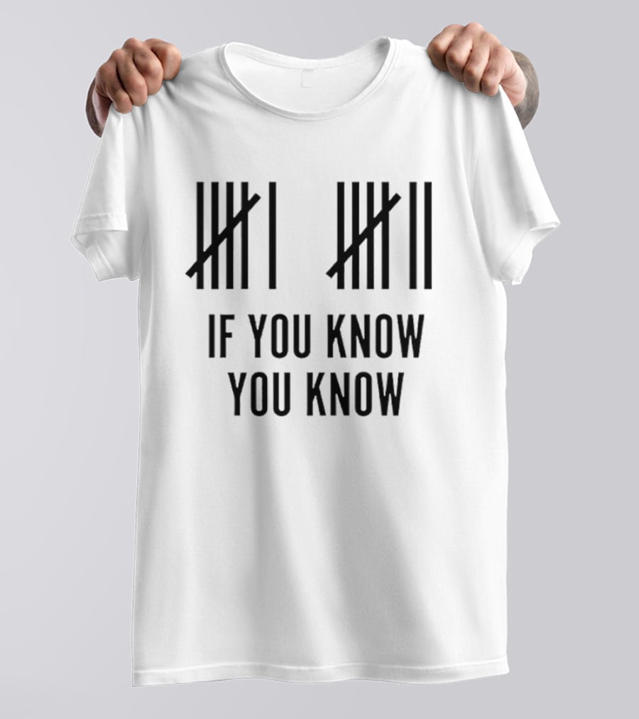 Classic Six Seven Tally Marks If You Know You Know T-Shirt