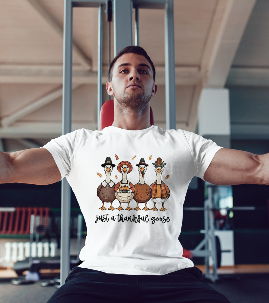 Thankful Goose Thanksgiving Characters 2025 T-Shirt