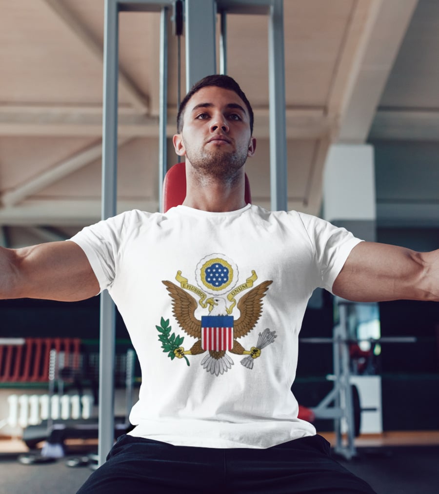 E Pluribus Unum United States Great Seal Bald Eagle Shield Stars T-Shirt