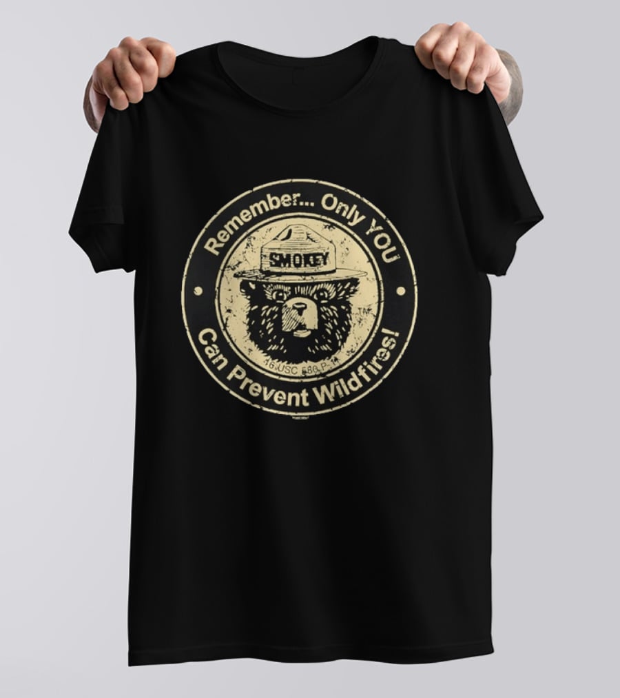 Remember Only You Can Prevent Wildfires Distressed Smokey Bear 16 USC 580p 11 T-Shirt