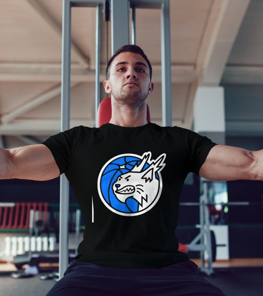 Minnesota Lynx Basketball WNBA Team T-Shirt