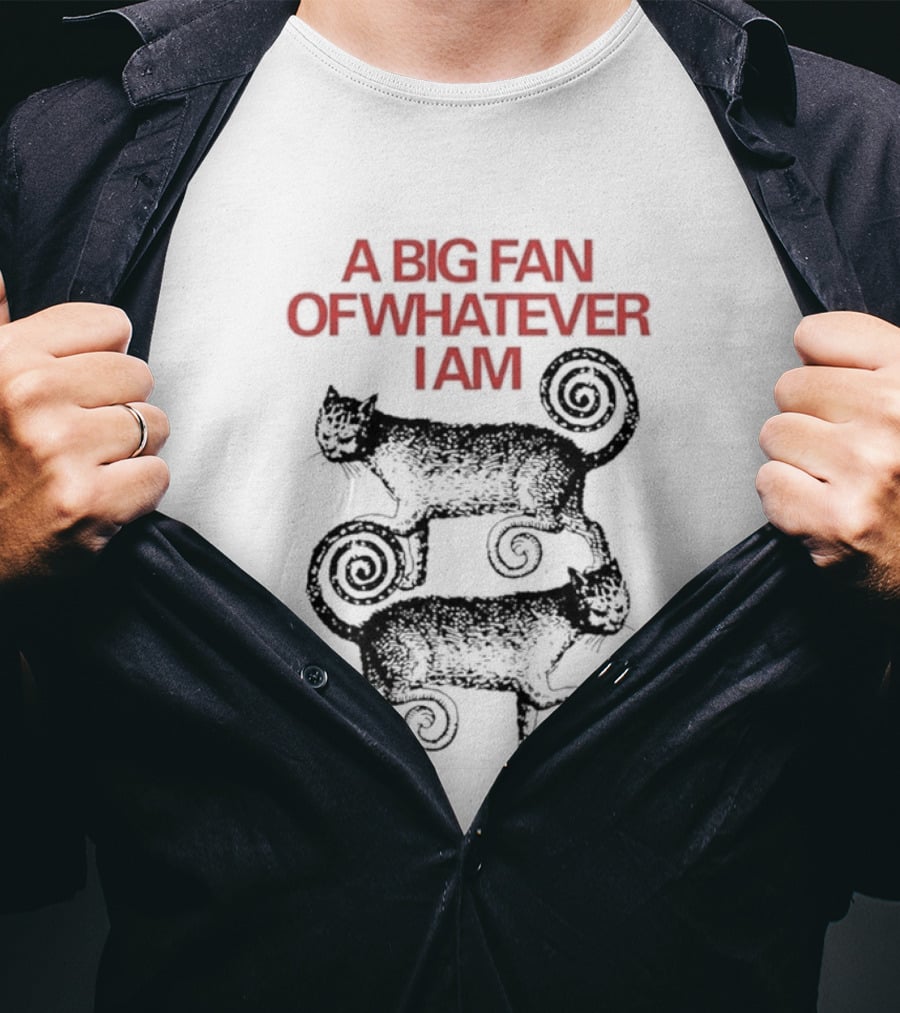 A Big Fan Of Whatever I Am Spiral Cats T-Shirt