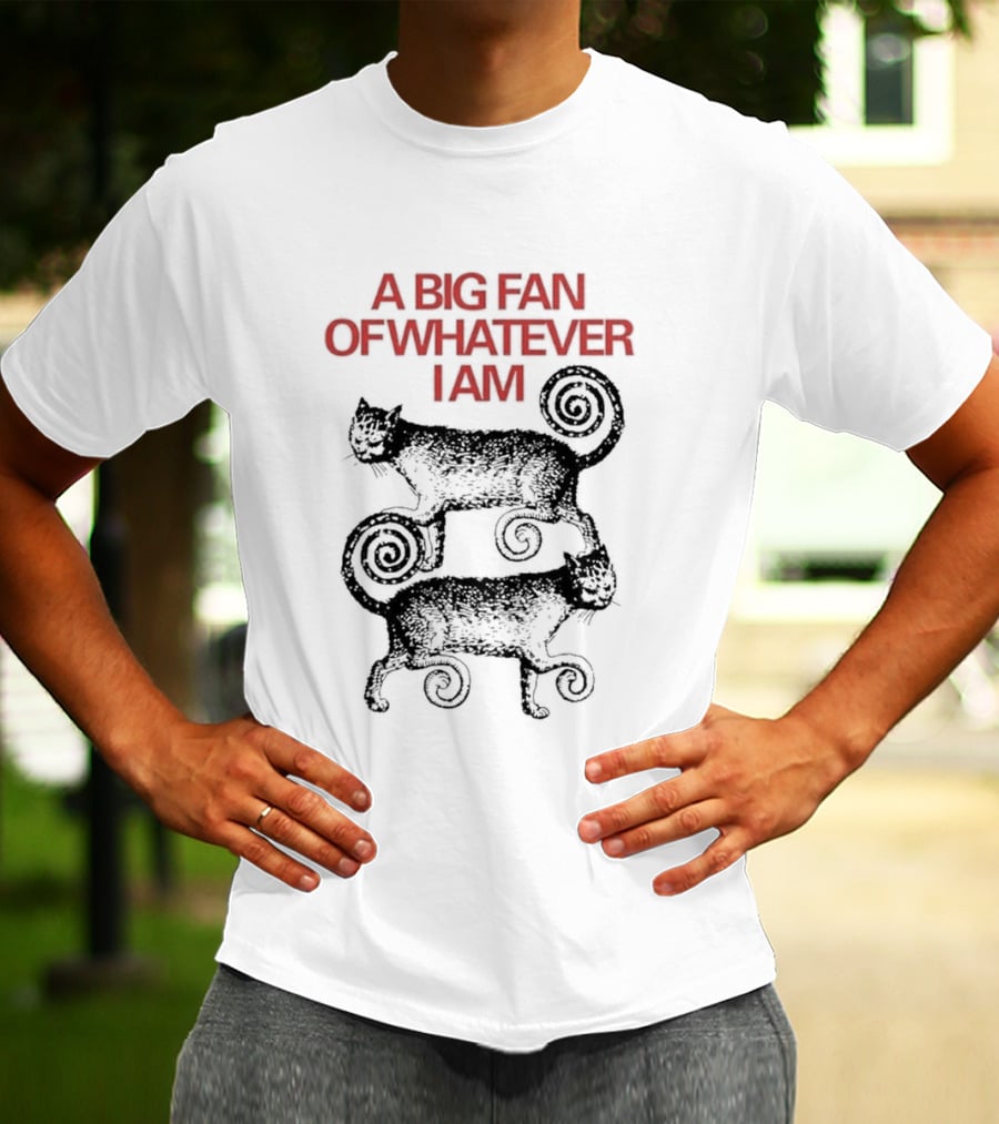 A Big Fan Of Whatever I Am Spiral Cats T-Shirt