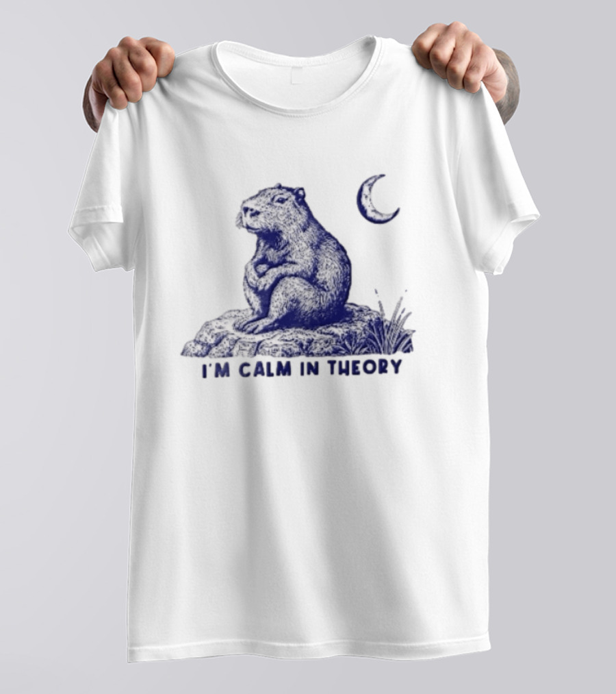 I'm Calm In Theory Capybara Sitting On Rock Under Crescent Moon T-Shirt