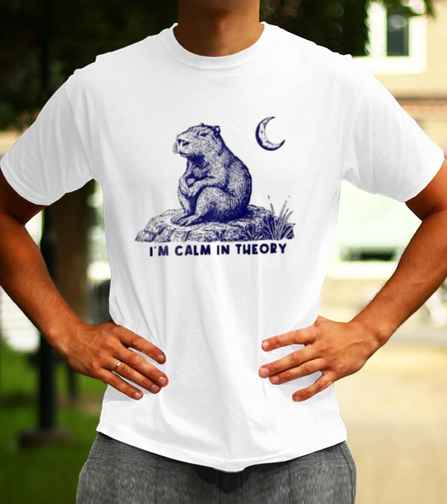 I'm Calm In Theory Capybara Sitting On Rock Under Crescent Moon T-Shirt