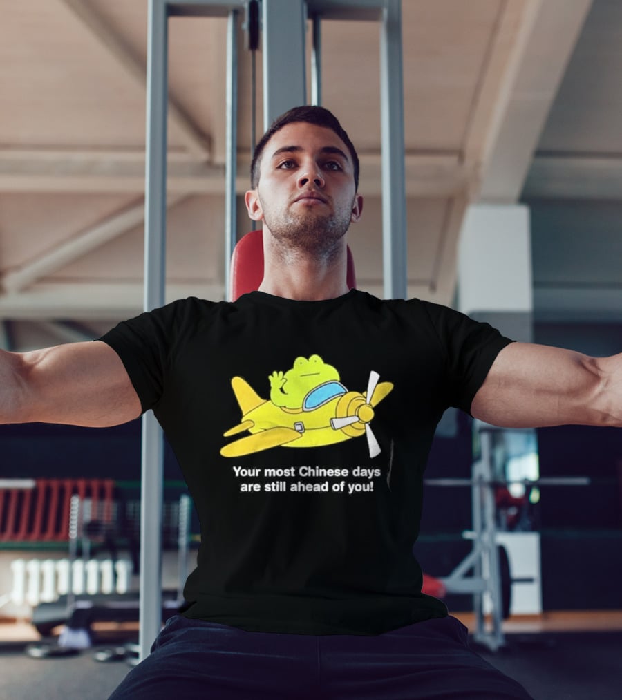 Frog Your Most Chinese Days Are Still Ahead Of You Airplane Scene T-Shirt