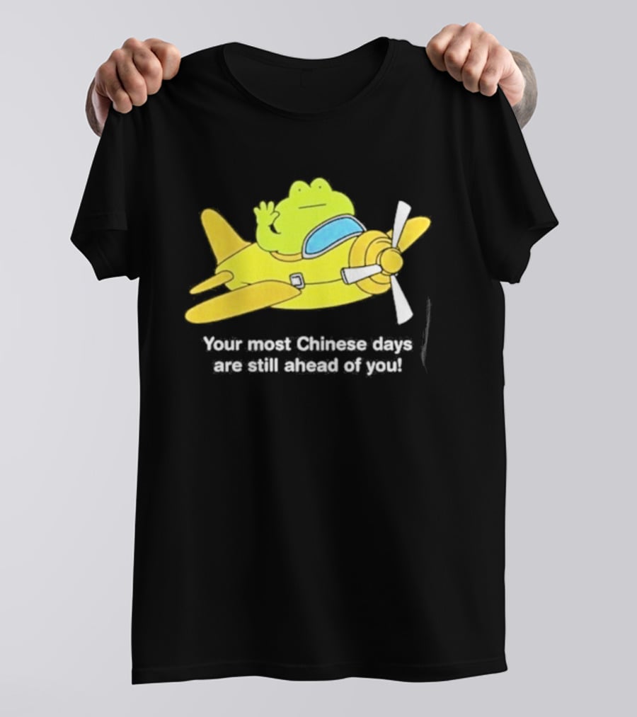 Frog Your Most Chinese Days Are Still Ahead Of You Airplane Scene T-Shirt