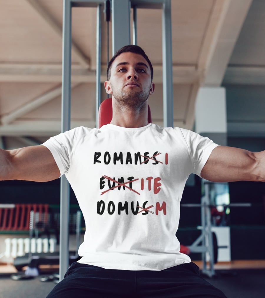 Romans Go Home Life Of Brian Corrected Latin Graffiti T-Shirt