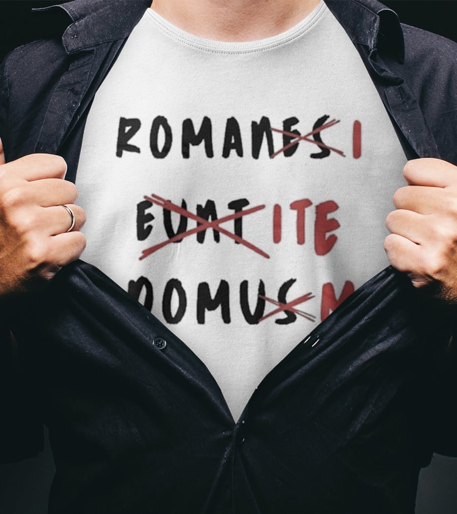 Romans Go Home Life Of Brian Corrected Latin Graffiti T-Shirt